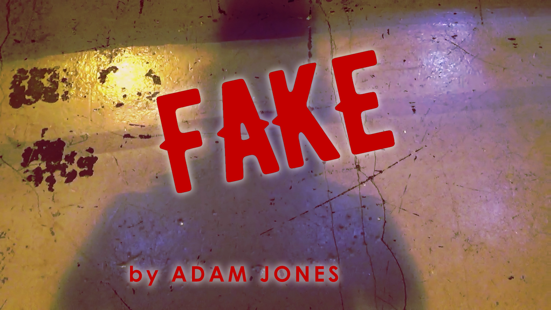 FINALIST – “Fake” by Adam Jones